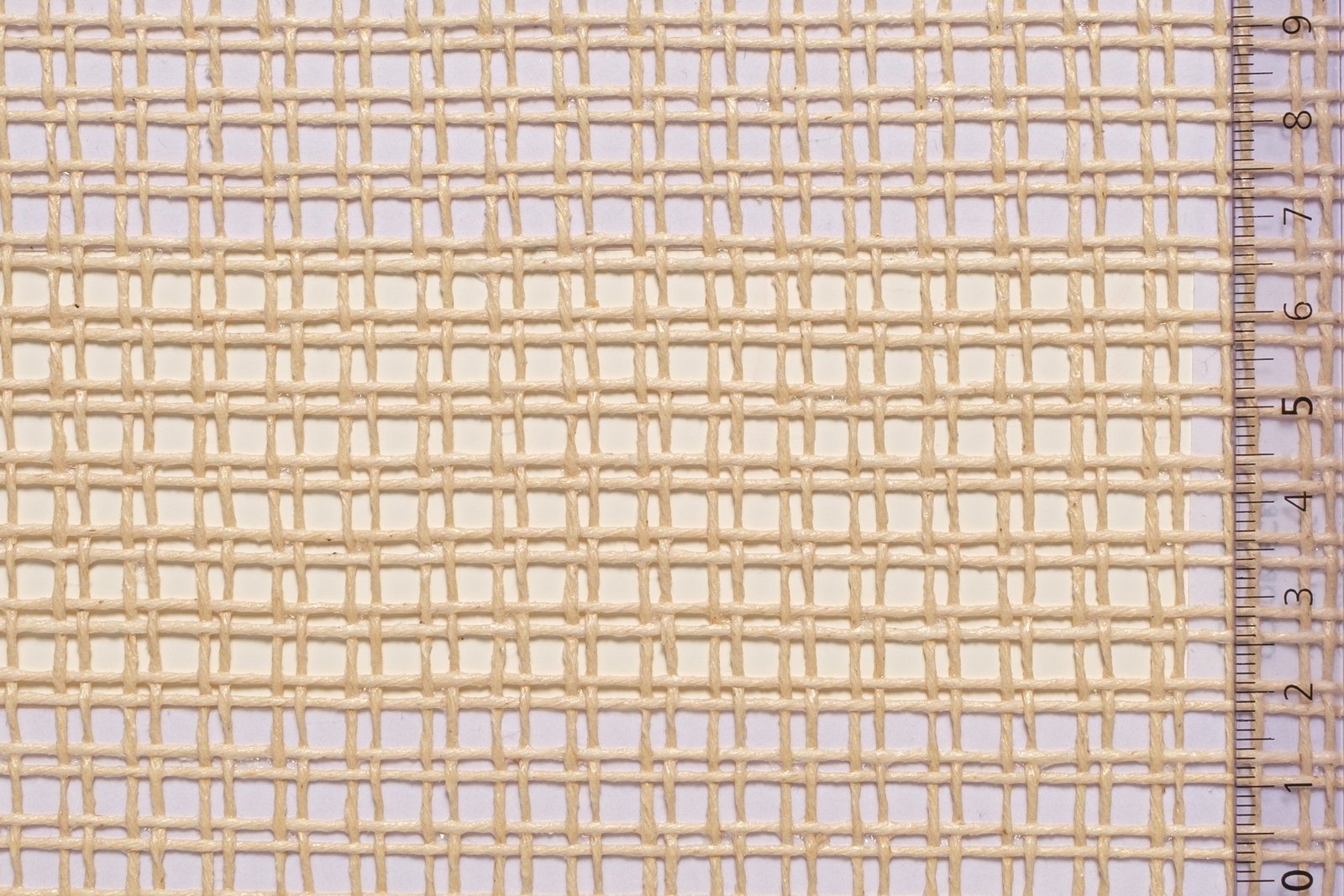 01CANBAG13ECRxxxCOT[CANVAS 13 For BAGS](ECRU)F